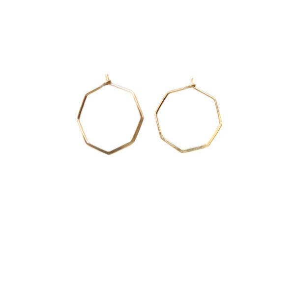 The octagon earrings
