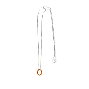 The precious necklace