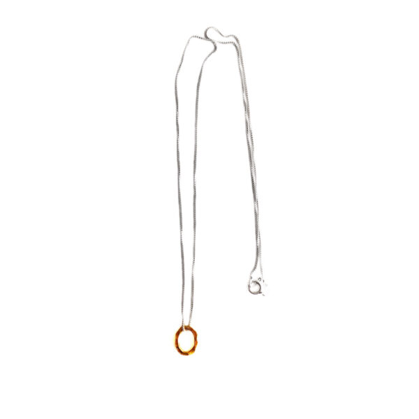 The precious necklace