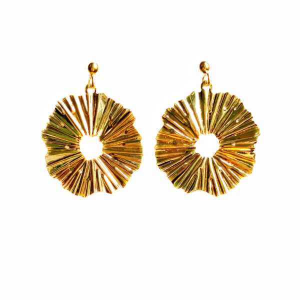 The vane earrings