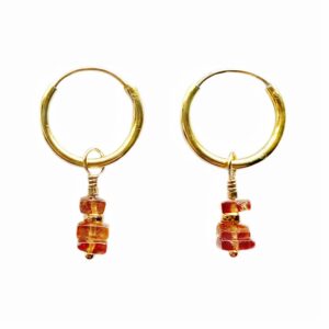 Gouden Lika oorbellen met hessoniet edelstenen.