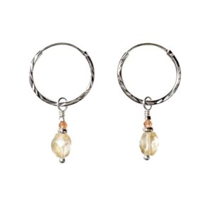 The resi earrings