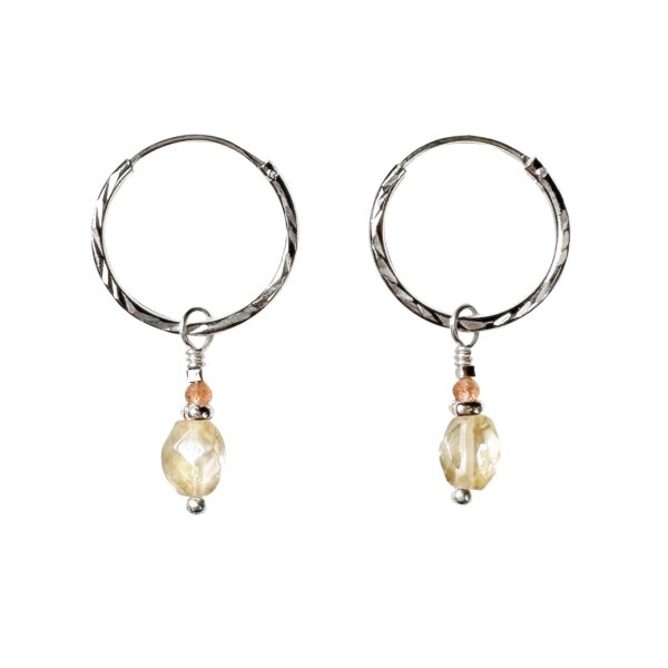 The resi earrings