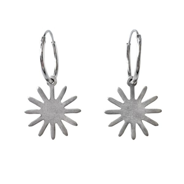 The aelia earrings