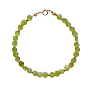 The evi bracelet