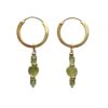 The evi earrings