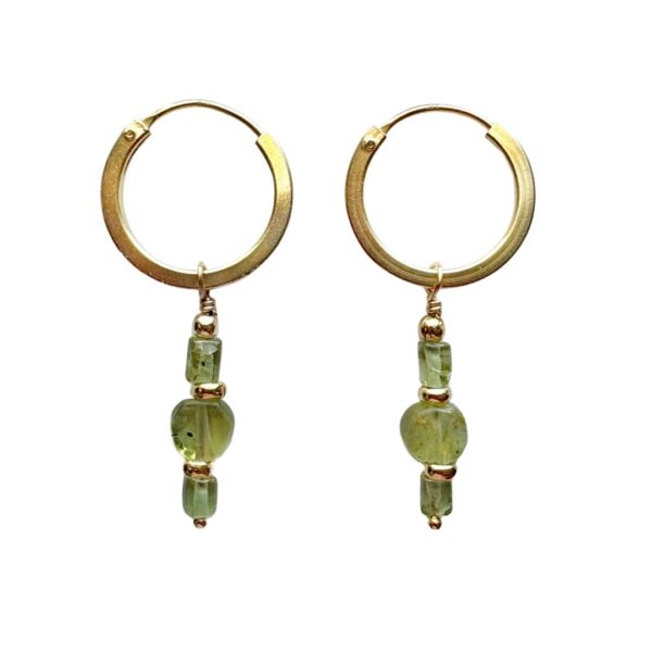 The evi earrings