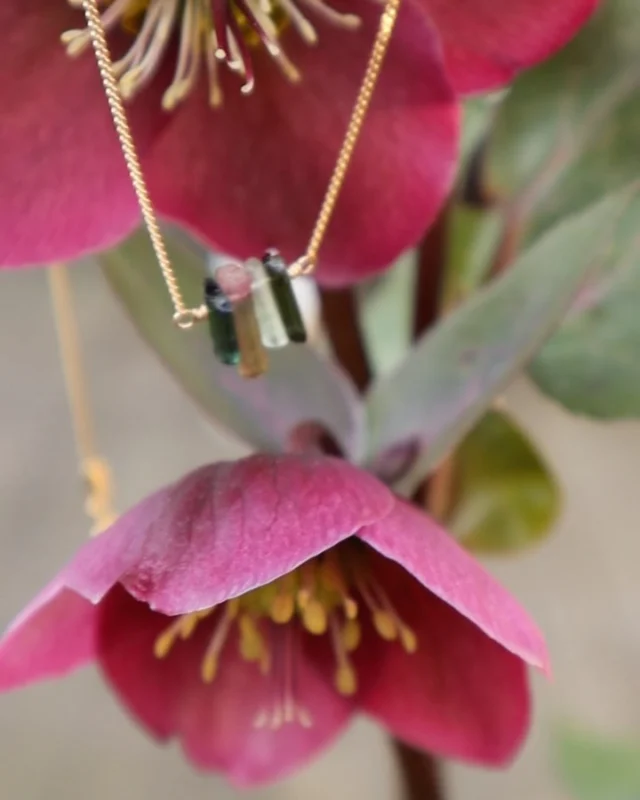 De Emery ketting was meteen een favoriet van jullie.
Met de mooie toermalijnen potloodjes in verschillende kleuren, snap ik dit helemaal.

Toermalijn is sowieso een bijzonder mooie steen.
Ze komt in heel veel kleuren, van roze, geel, oranje, blauw t/m groen, alle tinten vind je terug.

Ze is een steen van levensvreugde en zelfvertrouwen.
Ik heb mijn oude edelstenen boekje er weer eens bij gepakt en er staat erg veel over toermalijn in!
Swipe naar de laatste foto’s en je kunt het terug lezen.

Wat vind jij van Emery?

»«

•
•
#puurmarbles #edelsteenkettingen #goudenketting #parelketting #kralenketting #moederliefde #ondernemendevrouwen #bruiloftplannen #kleineondernemers #marblesbymg #liefdevoorjezelf  #sieradenshop #subtielesieraden #handgemaaktinnederland #sieradenmaken